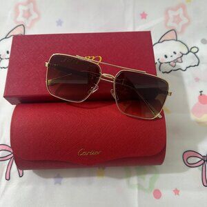 Cartier Brown Unisex Sunglasses